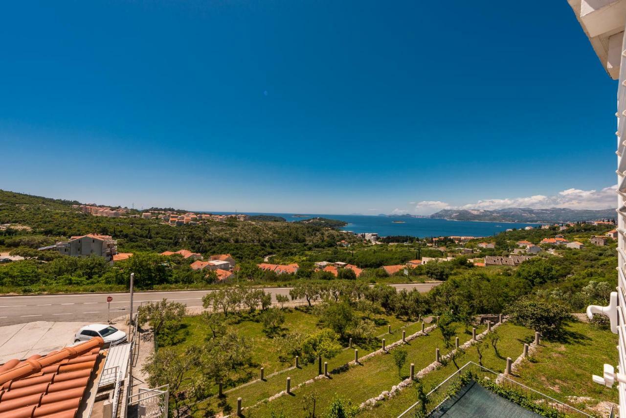 Mimoza 3*